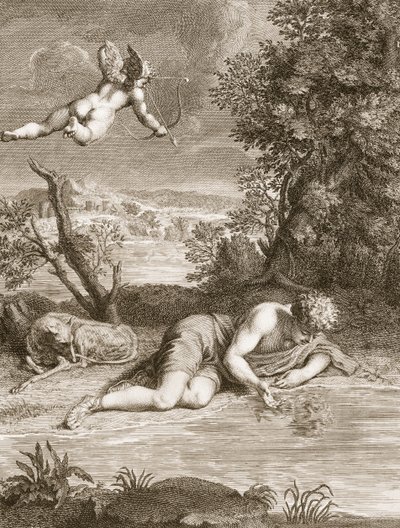 Narcissus Transformed into a Flower, 1730 by Bernard Picart